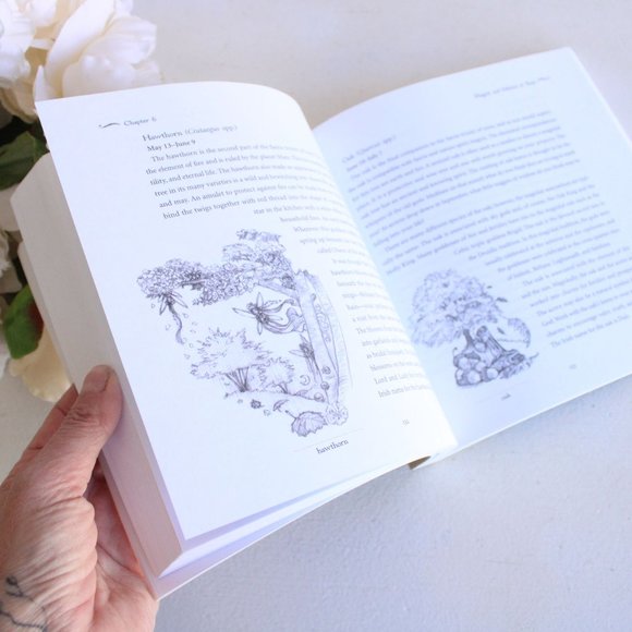 Book, "A Garden Witch's Herbal" by Ellen Dugan, Llewellyn Publications, 2009 - Picture 8 of 11